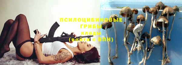 дживик Абаза