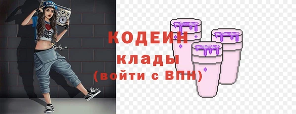 шишки Осташков