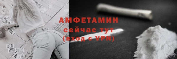 шишки Осташков