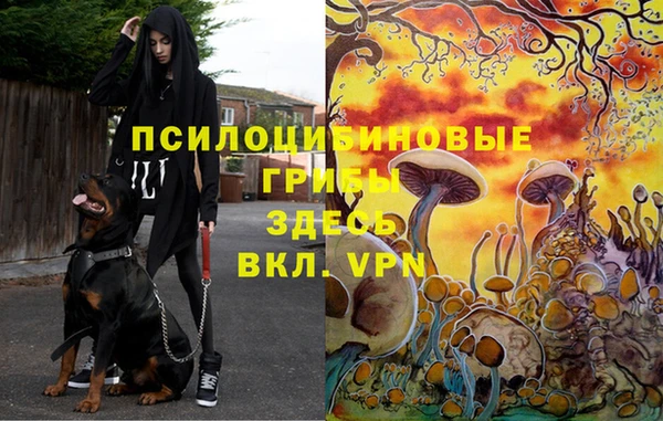 прущая мука Остров