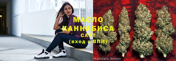 дживик Абаза